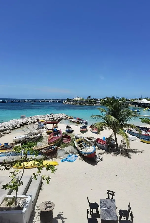 Mystic Mountain Villa Ocho Rios 0*,
